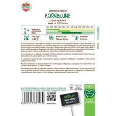 Sperli Kornblumensamen Classic Fantastic