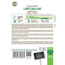 Sperli Lampionblumensamen Mikie's Laterne