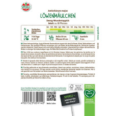 Sperli Löwenmäulchensamen Zwerg-Wunderteppich