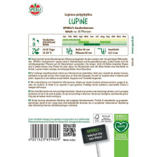 Sperli Lupinensamen Zauberkerzen