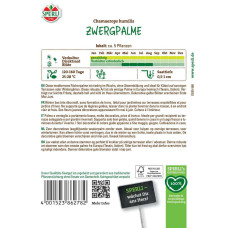 Sperli Zwergpalmensamen