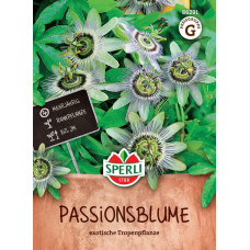 Sperli Passionsblumensamen