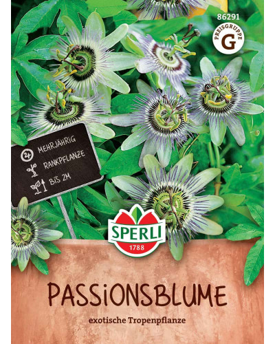 Sperli Passionsblumensamen