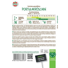 Sperli Portulakröschen Prachtmischung