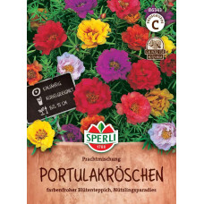 Sperli Portulakröschen Prachtmischung