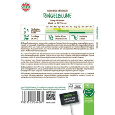 Sperli Ringelblumensamen Ivory Princess