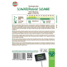 Sperli Schwarzäugige Susanne Samen Helios Mischung