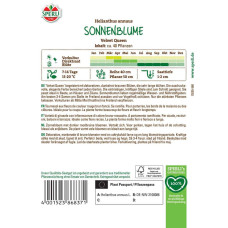 Sperli Sonnenblumensamen Velvet Queen