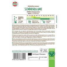 Sperli Sonnenblumensamen Farbenzauber, F1