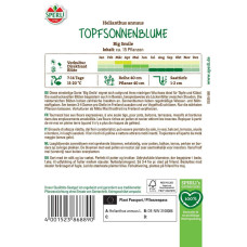 Sperli Topfsonnenblumensamen Big Smile