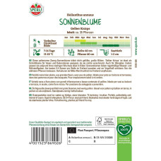 Sperli Sonnenblumensamen Gelber Knirps, F1