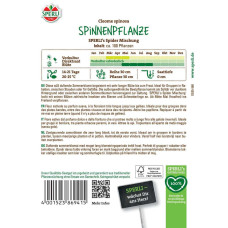 Sperli Spinnenpflanzensamen Spider Mischung