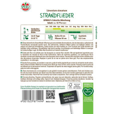 Sperli Strandfliedersamen Colorita Mischung