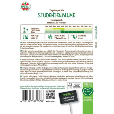 Sperli Studentenblumensamen Honeycomb