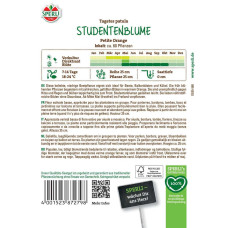 Sperli Studentenblumensamen Petite Orange