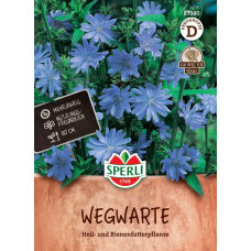 Sperli Wegwartesamen