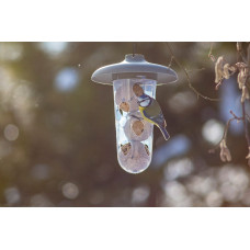 Plastia Robin - 2-in-1 Set für Vogelfütterung - Anthrazit