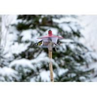 Plastia Vogelfutterhaus Finch, weinrotes Dach, Boden anthrazit