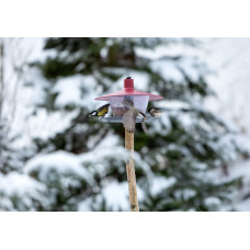 Plastia Vogelfutterhaus Finch, weinrotes Dach, Boden anthrazit