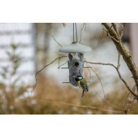 Plastia Robin - 2-in-1 Set für Vogelfütterung - Anthrazit