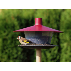 Plastia Vogelfutterhaus Finch, weinrotes Dach, Boden anthrazit