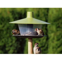 Plastia Vogelfutterhaus Finch, grünes Dach, Boden anthrazit
