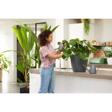 Elho Brussels Giesskanne 1.8 Liter, Anthrazit