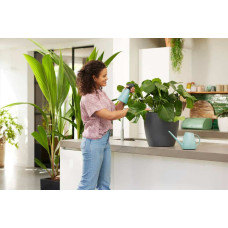 Elho Brussels Giesskanne 1.8 Liter, Mint