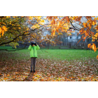 Plastia Vogelfutterhaus DOMEK, Braun
