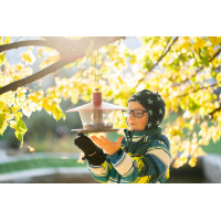 Plastia Vogelfutterhaus Finch, weinrotes Dach, Boden anthrazit