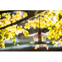 Plastia Vogelfutterhaus Finch, weinrotes Dach, Boden anthrazit