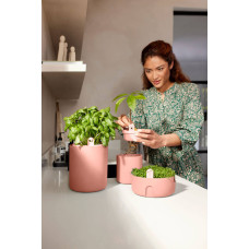 Elho Kräutertopf 'Bouncy Basil', Toffee Terra