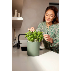 Elho Kräutertopf 'Bouncy Basil', Laubgrün