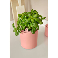 Elho Kräutertopf 'Bouncy Basil', Toffee Terra