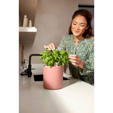 Elho Kräutertopf 'Bouncy Basil', Toffee Terra