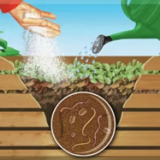 COMPO BIO Schnellkomposter 3 kg