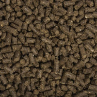 COMPO BIO Rhododendron- und Hortensien Langzeit-Dünger mit Schafwolle 0.75 kg