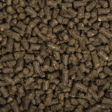 COMPO BIO Hochbeet Langzeit-Dünger mit Schafwolle 0.75 kg