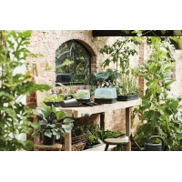 Elho Green Basics Anzuchthaube M, Transparent