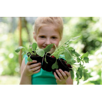 Elho Green Basics Anzuchttopf 27 cm, Living Schwarz