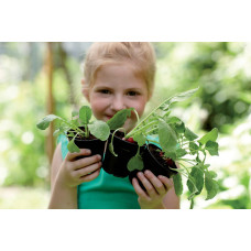 Elho Green Basics Anzuchttopf 27 cm, Living Schwarz