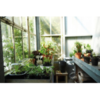 Elho Green Basics Anzuchttopf 27 cm, Living Schwarz