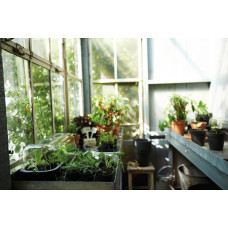 Elho Green Basics Anzuchttopf 27 cm, Living Schwarz