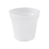 Elho Übertopf Green Basics Orchidee Ø 17 cm, Transparent