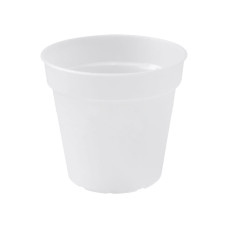 Elho Übertopf Green Basics Orchidee Ø 15 cm, Transparent