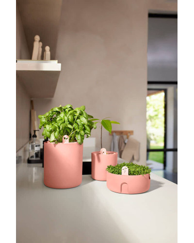 Elho Kräutertopf 'Bouncy Basil', Toffee Terra