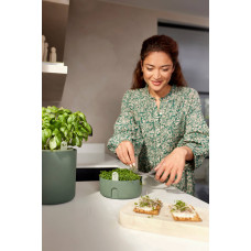 Elho Microgreens Anzuchtgefäß 'Magic microgreens', Laubgrün