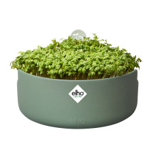 Elho Microgreens Anzuchtgefäß 'Magic microgreens', Laubgrün
