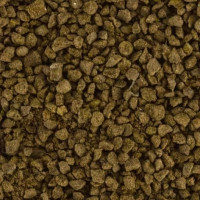 COMPO BIO Rasendünger 3 kg für 75m²