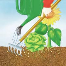 COMPO BIO NaturDünger Guano 3 kg